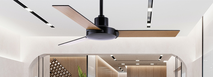 AC vs DC Designer Ceiling Fans: Which One is Right for You?