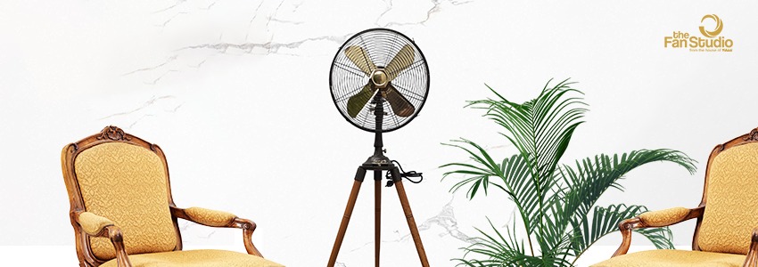 Antique Pedestal Fans: Are they still in fashion?