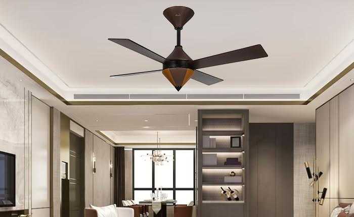 elevate-your-interior-design-with-decorative-ceiling-fans
