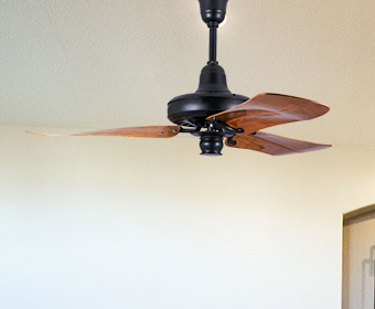 here-s-why-a-customised-ceiling-fan-can-rejuvenate-any-living-space