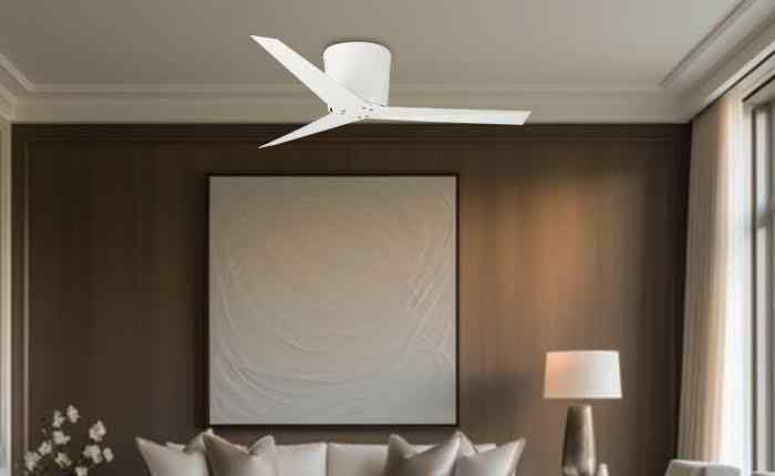 the-fascinating-story-behind-the-best-ceiling-fans-in-india