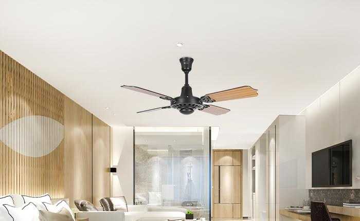 transform-your-space-with-the-elegance-of-the-regallia-ceiling-fan