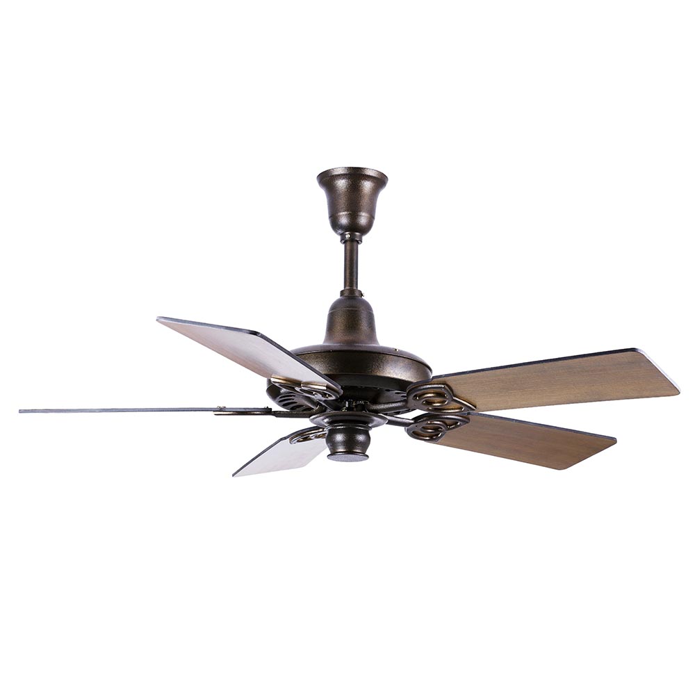 Diva 5Blades