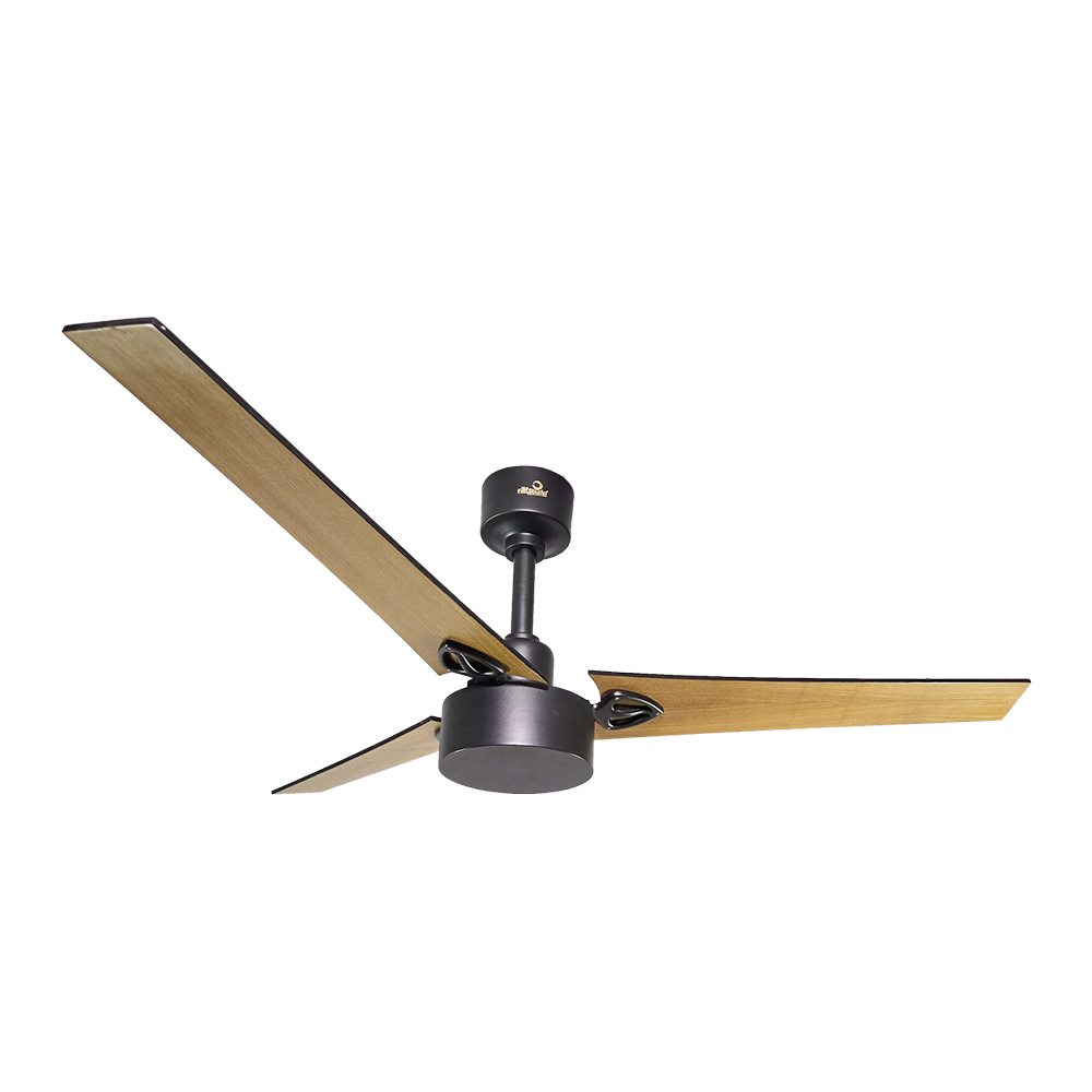 antonious-ceiling-fan