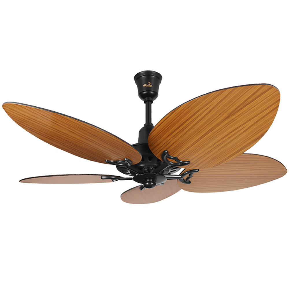 belleza-ceiling-fan