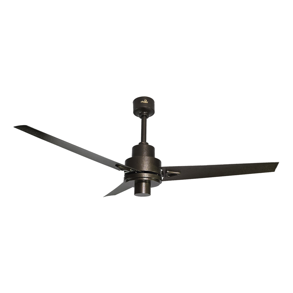 bold-ceiling-fan